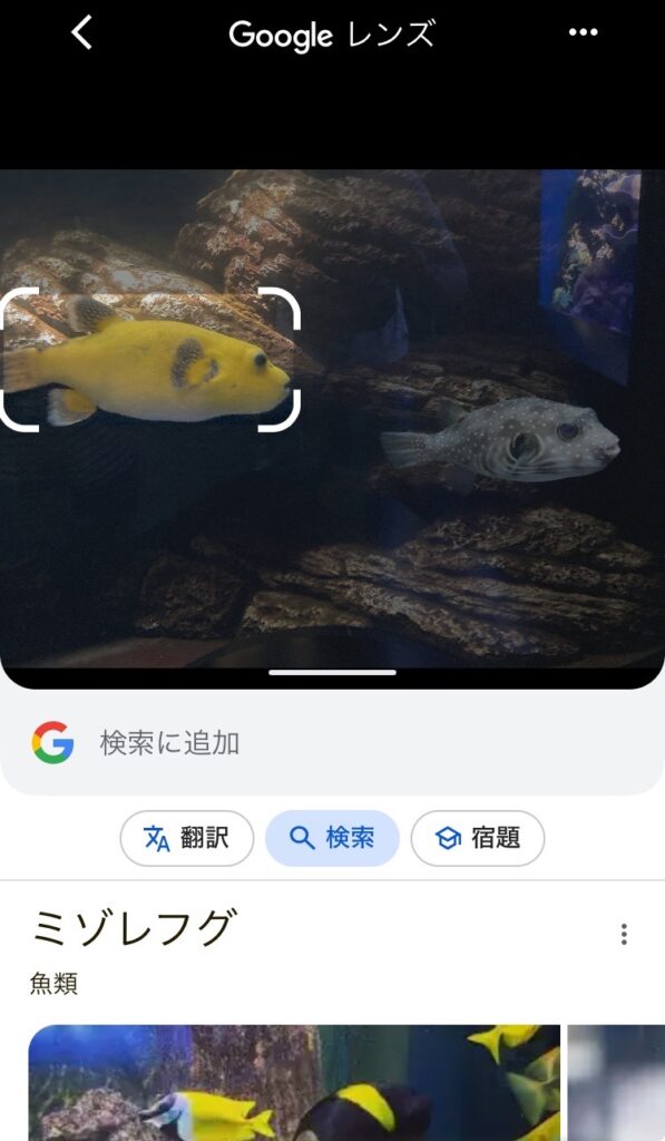 googleカメラ